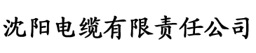 亚洲天堂vz一区二区三区四区电缆厂logo